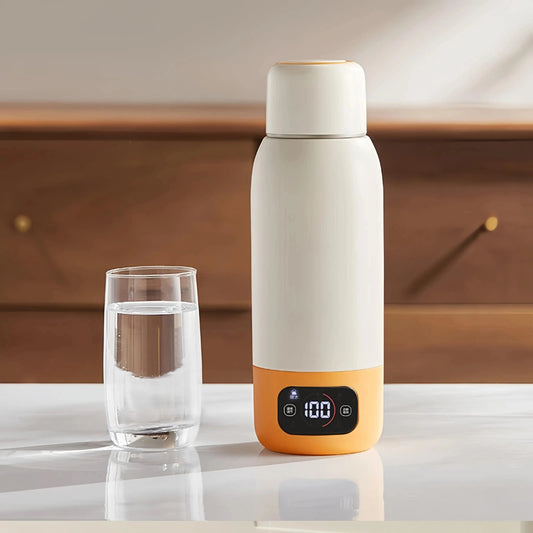Portable Electric Kettle
