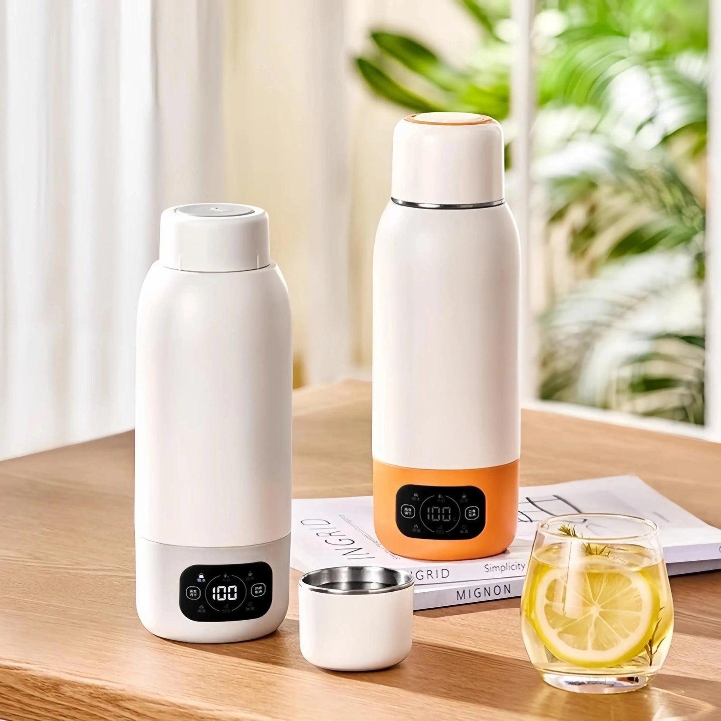 Portable Electric Kettle